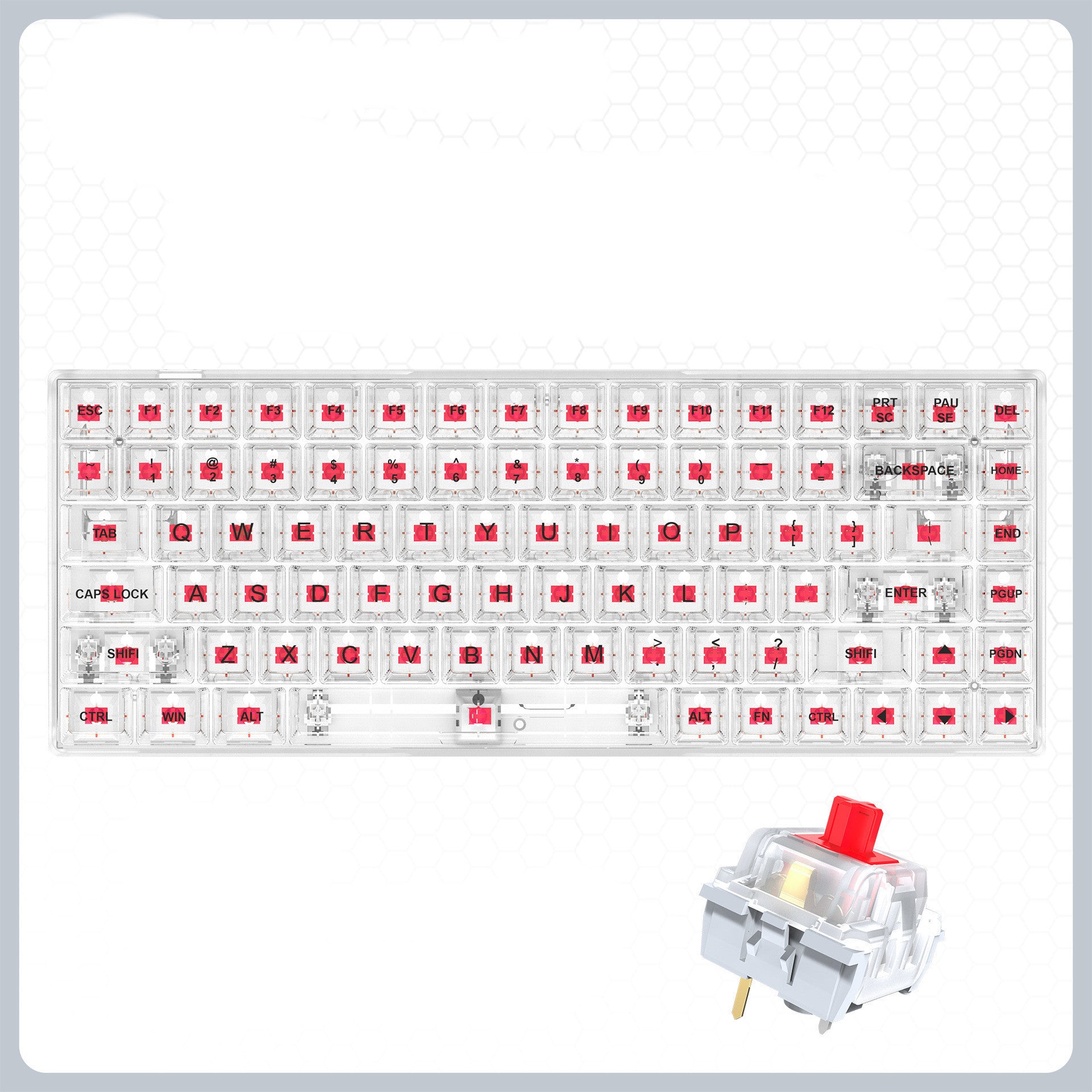 Transparent RGB Mechanical Keyboard – Hot-Swappable & Wired